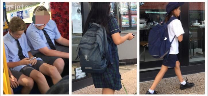 体验劳作中的辛苦和快乐,体验劳动生活的快乐和感悟