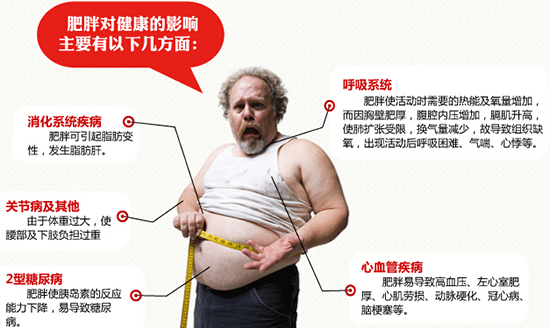 长肉增肥的季节,长肉的季节如何抑制体重