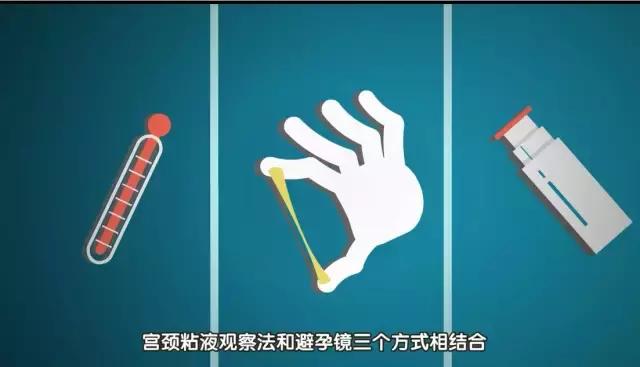 新手爸妈怎样怀孕,简单的造人计划