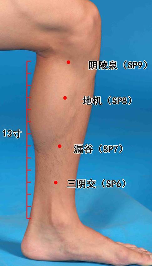 同仁堂乌鸡白凤丸的功效与功能,药食同源穴位有哪些