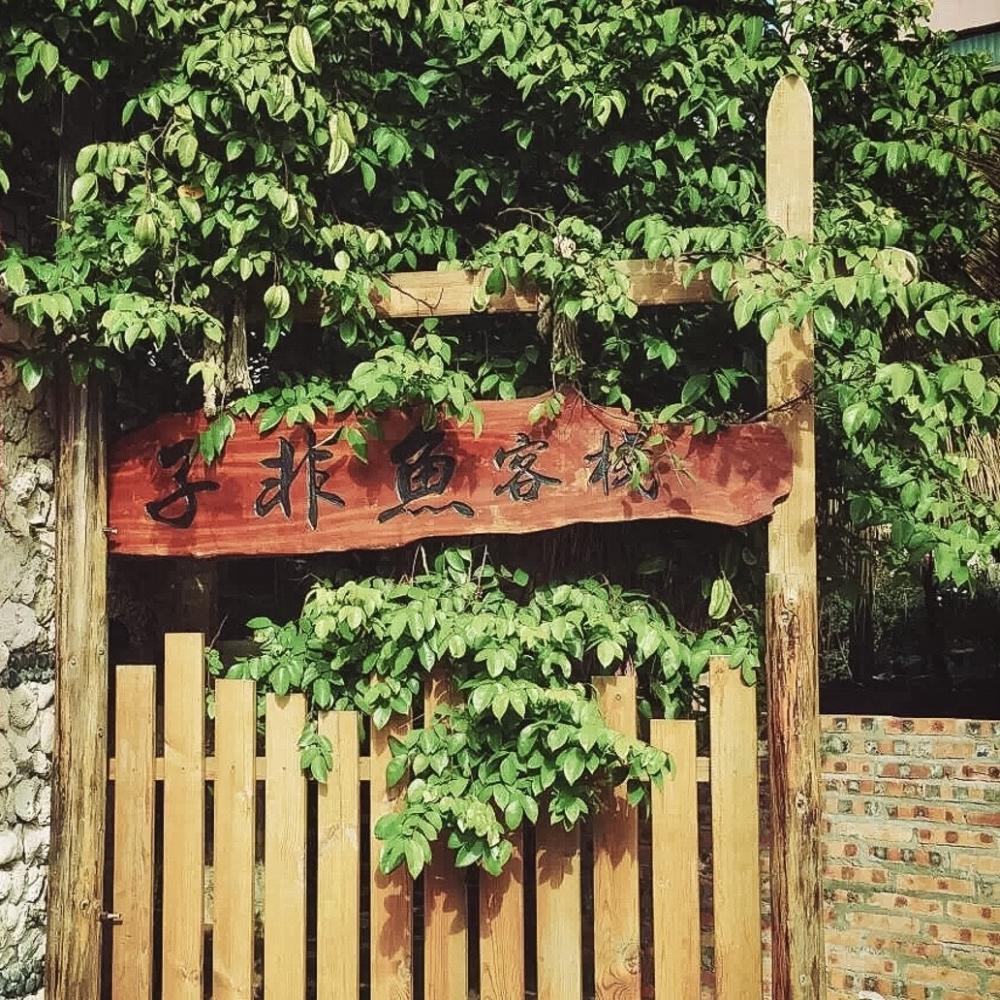 里约大冒险旅行,里约大冒险巴西旅游