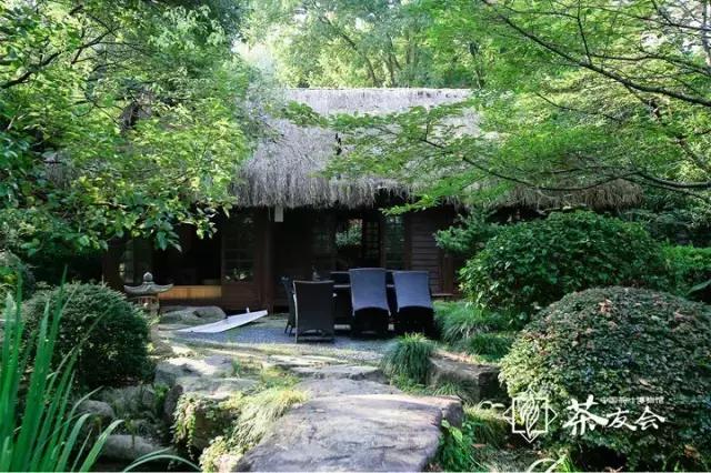 西湖边能够临湖的茶馆推荐,西湖最好茶楼排名