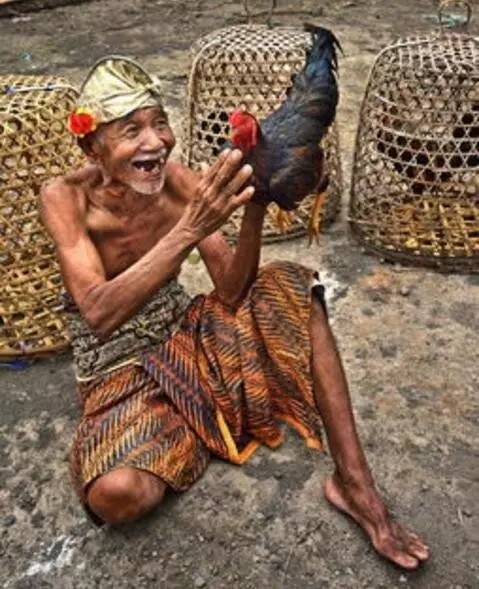 又选巴厘岛？法罗岛才是正牌电影朝圣地呦喂~