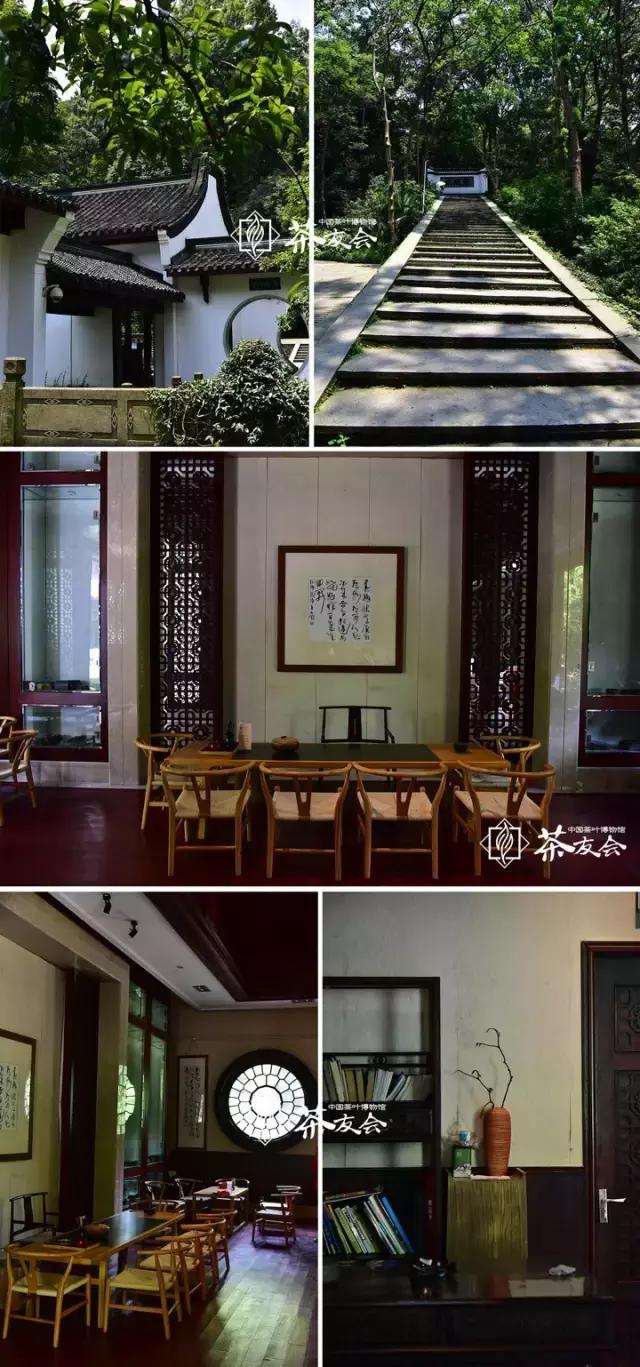 西湖边能够临湖的茶馆推荐,西湖最好茶楼排名