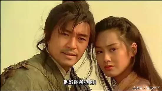 七夕节和单身狗有什么关系,七夕节和单身狗有关吗