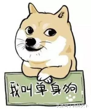 七夕节和单身狗有什么关系,七夕节和单身狗有关吗