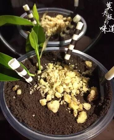 来自思密达国的icecream，夏天你想和谁一起来拔草？