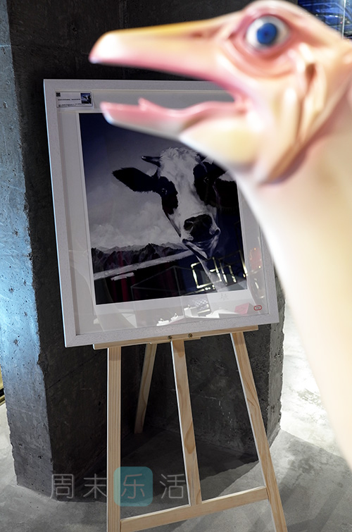 逛街试衣服快乐文案,逛街收获快乐文案