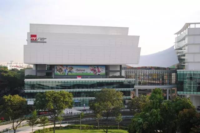 新加坡男生加入“黑帮”后又反悔，竟惨遭毒手