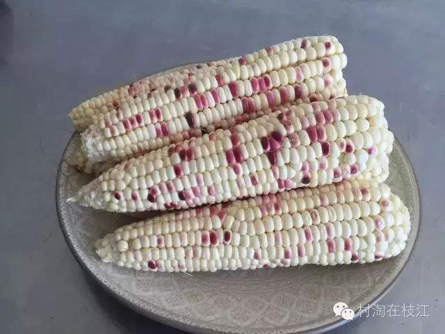 80后姑娘在农村创业,九零后农村姑娘创业故事