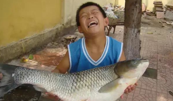 海竿水怪能够钓草鱼吗,海竿串钩挂什么钓草鱼