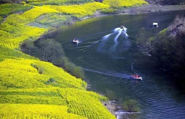 阿里山的姑娘邓禹平,阿里山的姑娘邓禹平结婚了吗