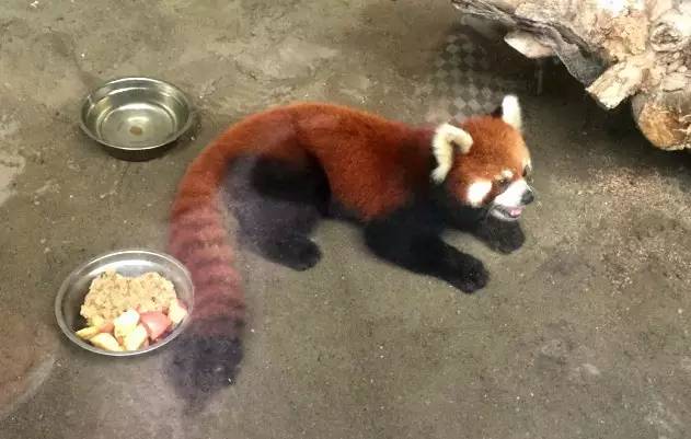 宜家家居最新事件,宜家最新发生的事情