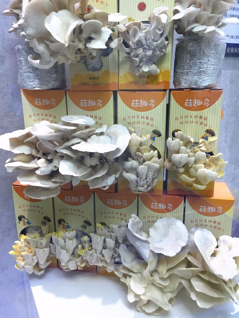 陕西3d打印机器人哪些值得推荐,西安3d打印机器人