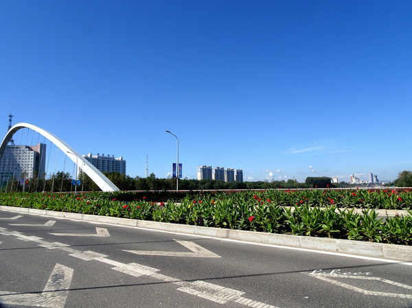 额滴个神！一枚老男人居然在黑河疯狂购物直到手软！