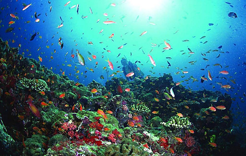 烟台青岛哪个更合适居住,青岛威海烟台哪个最合适居住