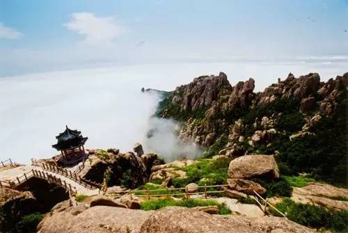 烟台青岛哪个更合适居住,青岛威海烟台哪个最合适居住