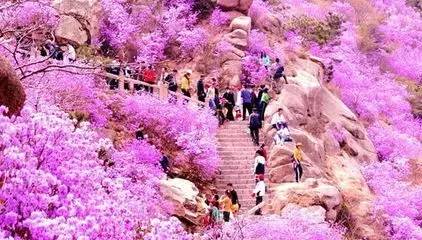 烟台青岛哪个更合适居住,青岛威海烟台哪个最合适居住