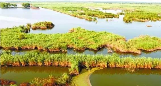 烟台青岛哪个更合适居住,青岛威海烟台哪个最合适居住
