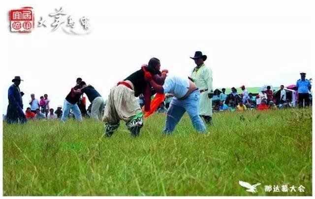 乌审旗察罕苏力德那达慕,乌审旗苏力德苏木第五届那达慕