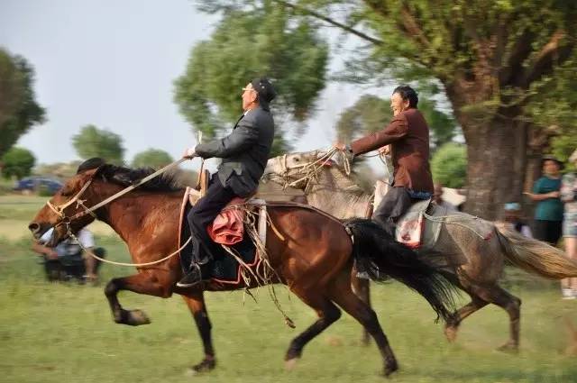 乌审旗察罕苏力德那达慕,乌审旗苏力德苏木第五届那达慕