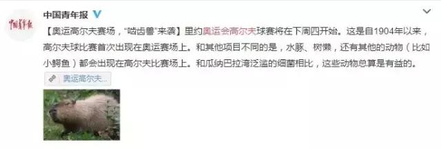 关于里约奥运会的段子,里约奥运回顾经典语录