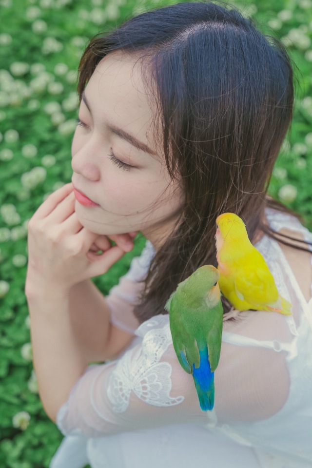 虎皮鹦鹉多少天能够拿出来手养,手养虎皮鹦鹉雏鸟训练教程视频