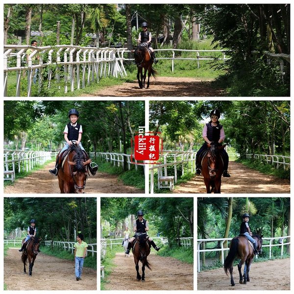 三亚美高梅临海,美高梅三亚旅拍