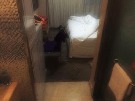 今天，我约了个少女带你玩香港