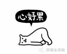 深圳最贵车牌粤b99999,深圳天价车牌号