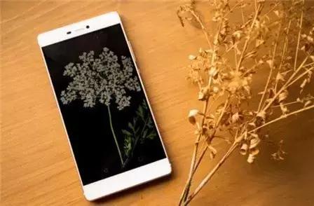 除了老干妈、回力鞋，这些“新国货”也蜚声海外！