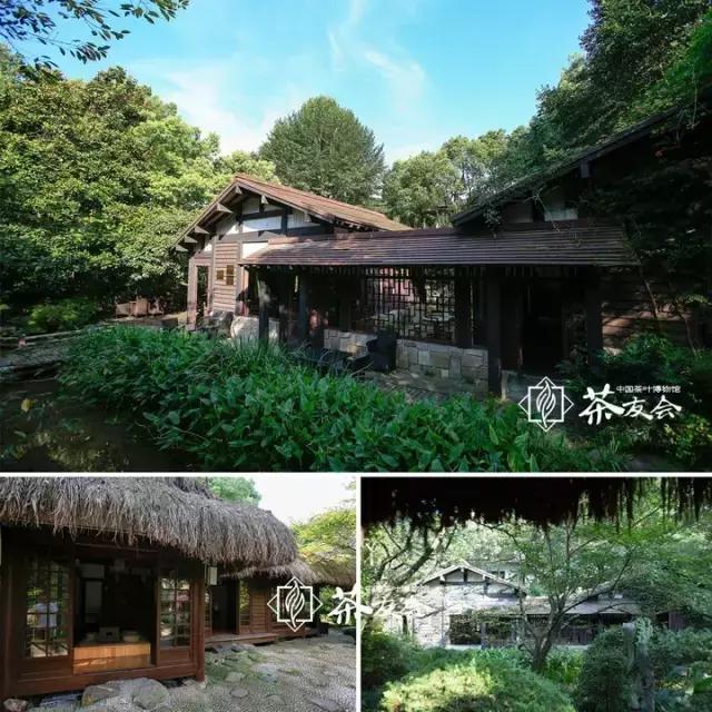 西湖边能够临湖的茶馆推荐,西湖最好茶楼排名