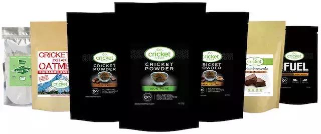 洪荒之力用尽了，来根蟋蟀君做成的能量棒吧！