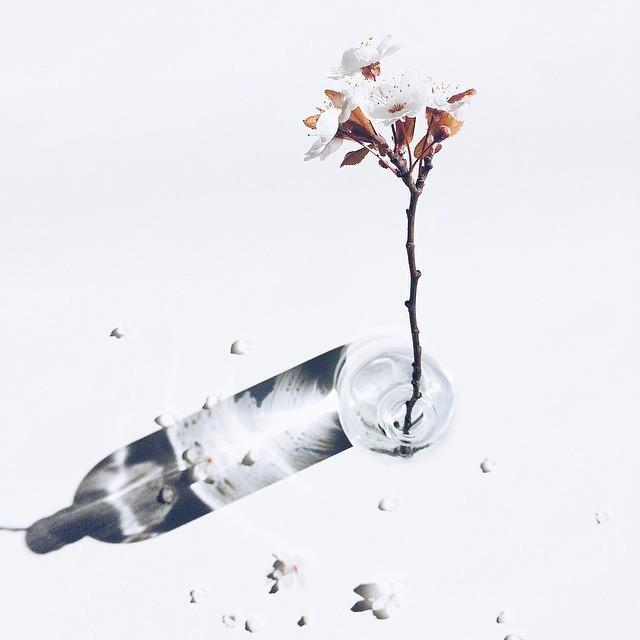 有些人一别就是一辈子图片,有些人一别便是永别