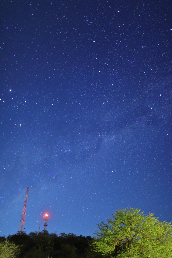 猎豹奔跑壮观,猎豹狂奔