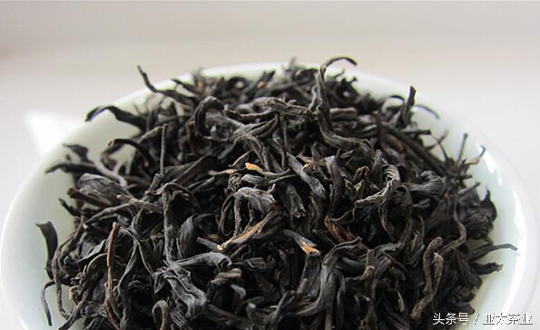 冰岛普洱茶茶山风景,普洱名山薄荷塘