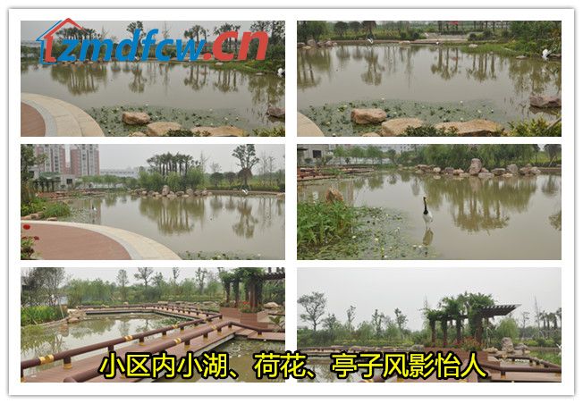 小丫看房记尚城银座完全版,小丫看房