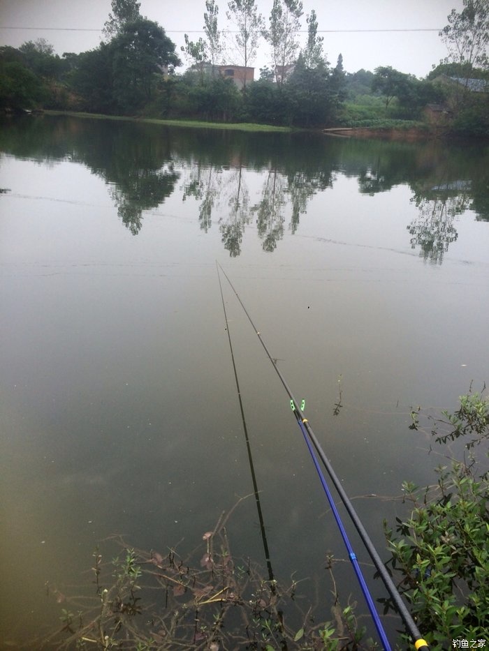 老鬼鳊鱼饵料配方,老鬼钓鳊鱼饵料