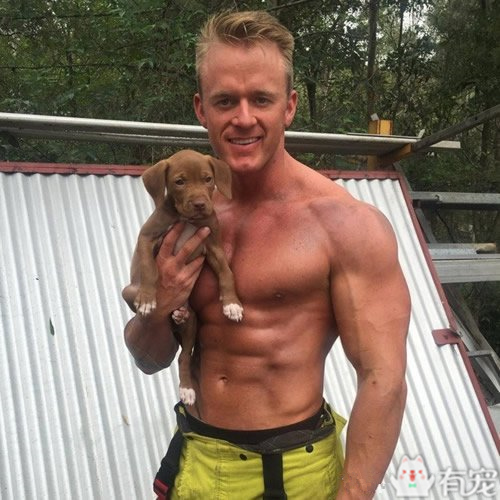 搜救犬看见消防员抱着小奶狗 (消防员训练发现小奶狗)