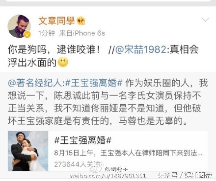 王宝强事件全过程解析,王宝强事件最新最全整理