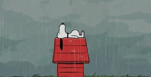 如果你在合肥，就不要问合肥人这些问题！小心叼到你飞起~