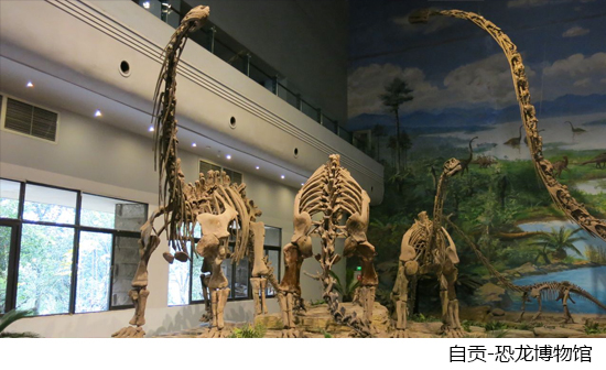 四川美食推荐攻略探店,四川美食自驾游攻略视频