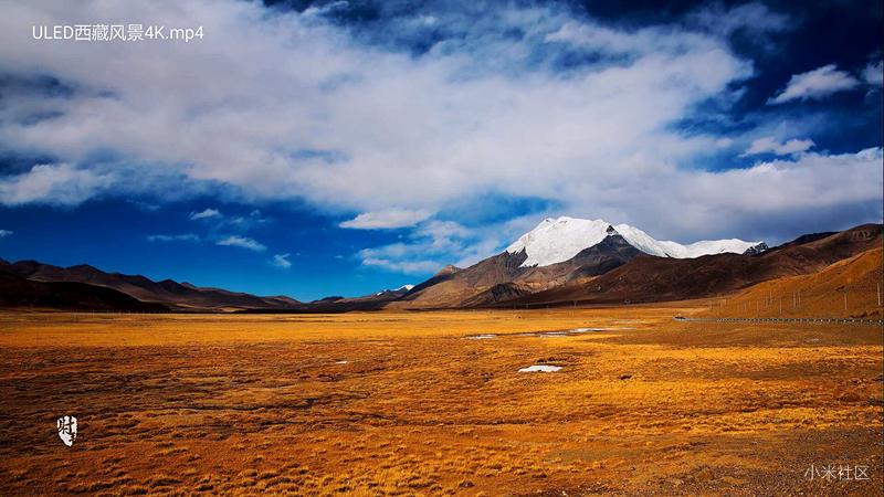 小米电视五使用技巧,小米电视的操作系统是什么