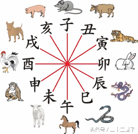 生肖对冲对婚姻影响大吗,生肖不合有科学依据吗