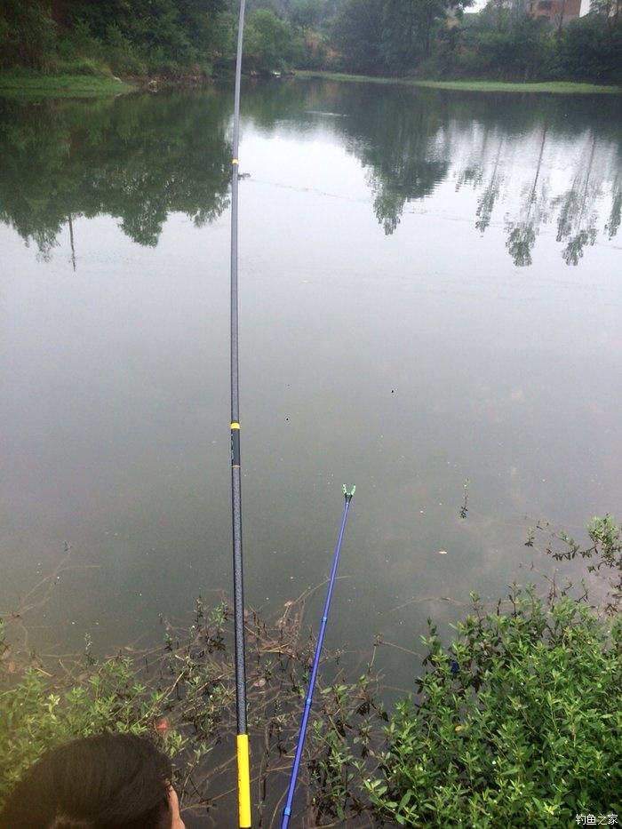 老鬼鳊鱼饵料配方,老鬼钓鳊鱼饵料