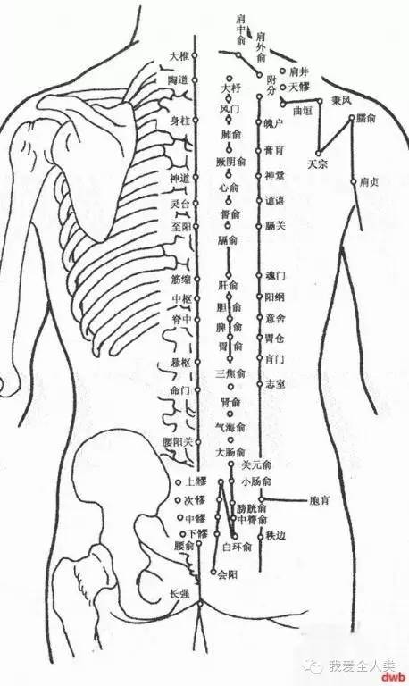 别再折腾拔罐了，中国还有其它好东西呢