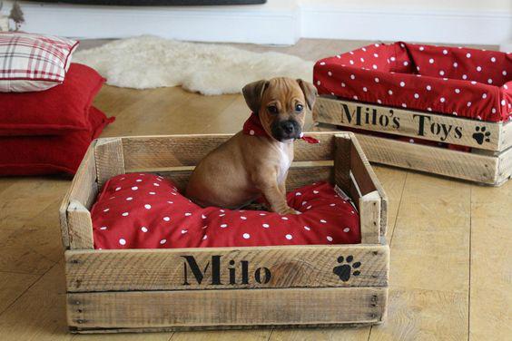 300元出租屋改造懒人沙发,房间的家具改造