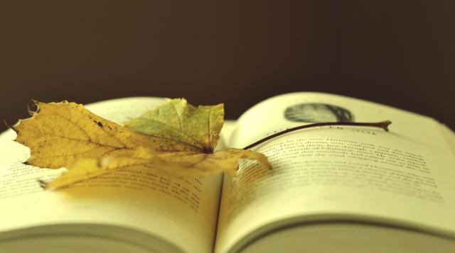 寻找自己人生的书籍,寻找一本叫人生的书