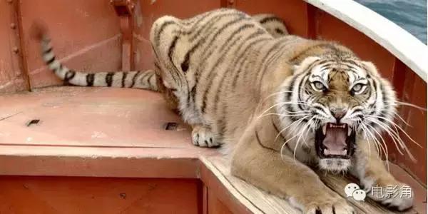 开脑洞：如果这5部电影里没有动物，后果将不堪设想