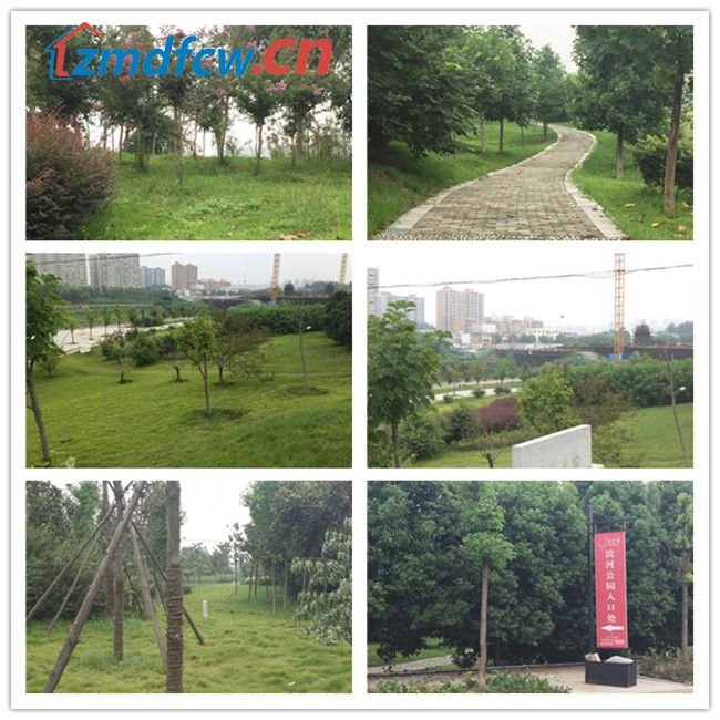 小丫看房记尚城银座完全版,小丫看房